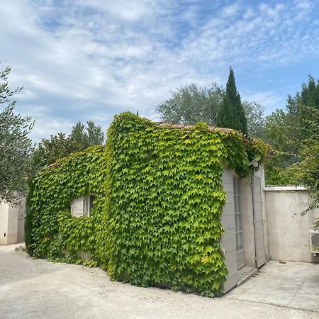 Le Mas Du Chemin : Mas Typique Des Alpilles Paradou Exterior photo